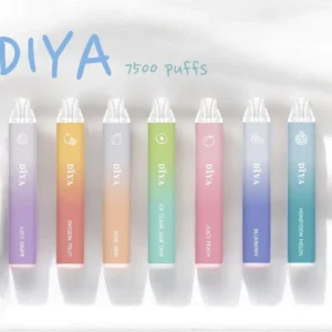 DIYA叮啞拋棄式-7500口可充電🐼獨家薔薇布林口味登場!!：圖片 1